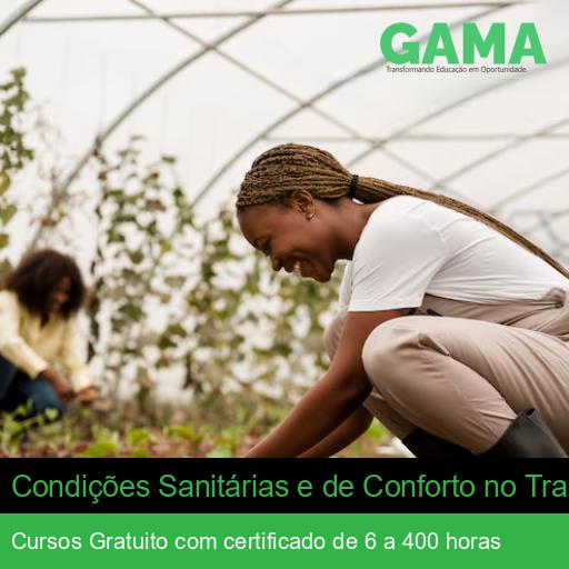 Condições Sanitárias e de Conforto no Trabalho Rural